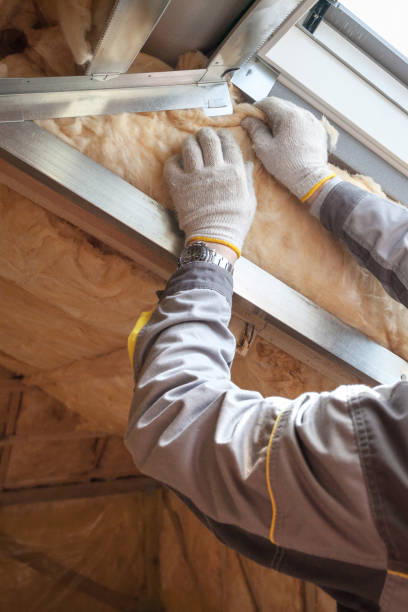 Best Specialized Insulation Services in Toulon, IL